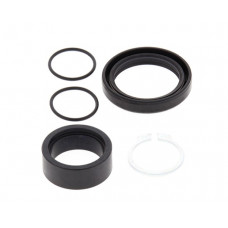 Сальник зірки ALL BALLS KAWASAKI KXF250 06-13
