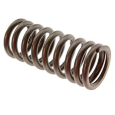 Пружина випускного клапана Yamaha WR426F, YZ426F 2001-2002