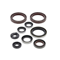 Комплект сальників мотора WINDEROSA KTM EXC 450 09-11, EXC 530 08-11, EXC 400 09-10