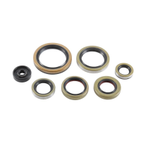 Комплект сальниківв мотора VERTEX KTM SX 250 16-22, XC 250 17-22, XC 300 17-22, XC-W 250 '17-'22, HUSQVARNA TC 250 17-22, GAS GAS EC/MC 250/300 21-22